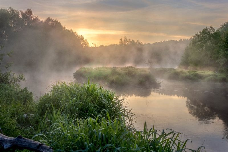 Летним утром... фото превью