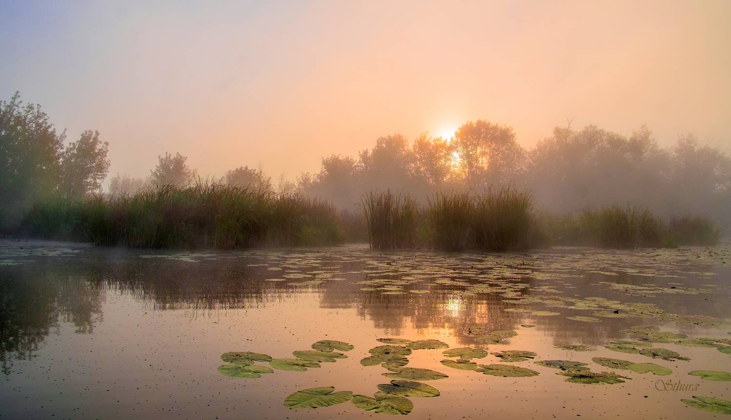 осень озеро рассвет туман пейзаж природа, Александр Строков
