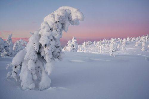 Голову склоня