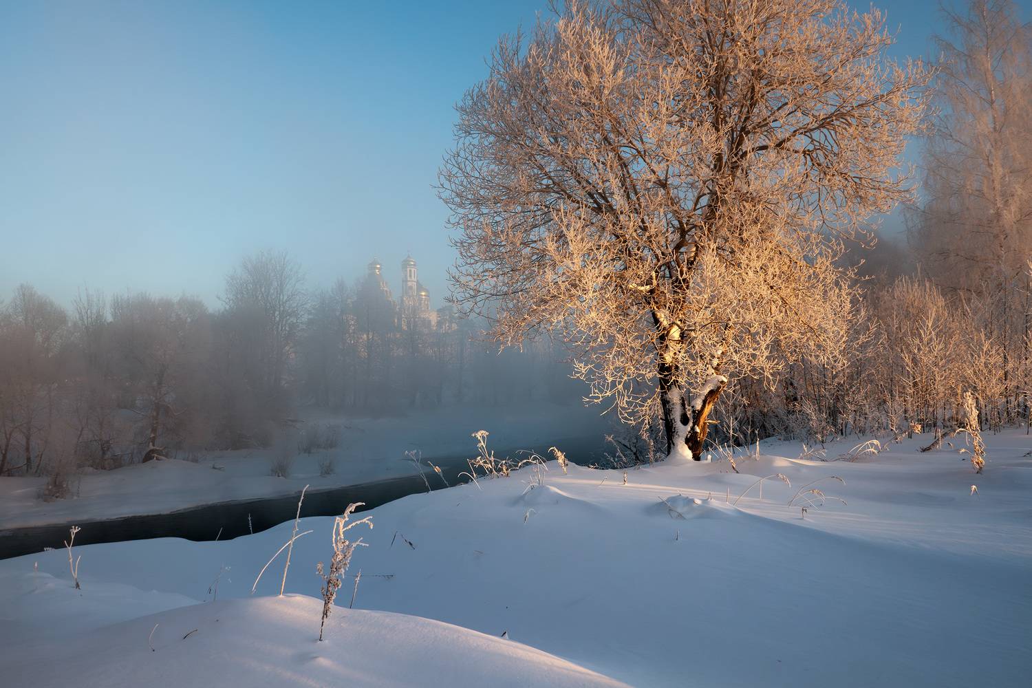 новый иерусалим, река истра, зима, мороз, иней, туман, Медведев Александр