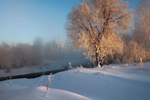 Январское утро