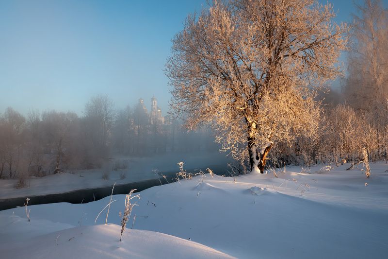 Январское утро фото превью