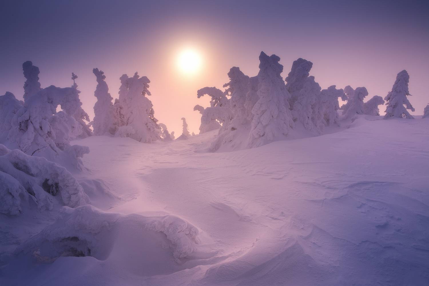 , Татьяна Бирюкова