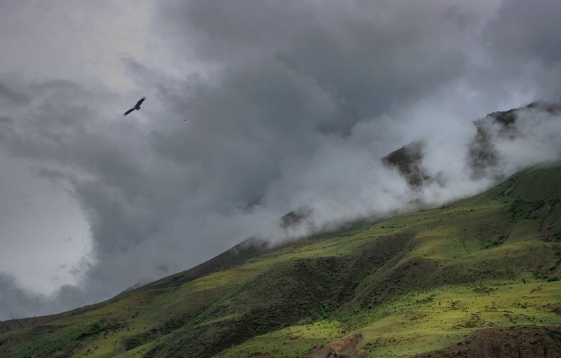 гора склон облако просвет туча орел Над горами фото превью