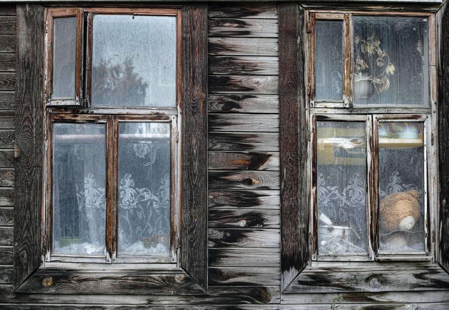 , Лофицкая Лариса