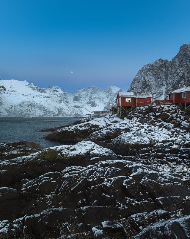 Reine фото превью