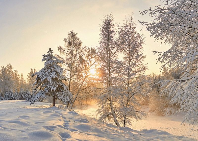 зима, река, снег, солнце, березы, сосны, туман, изморозь Солнечный день фото превью