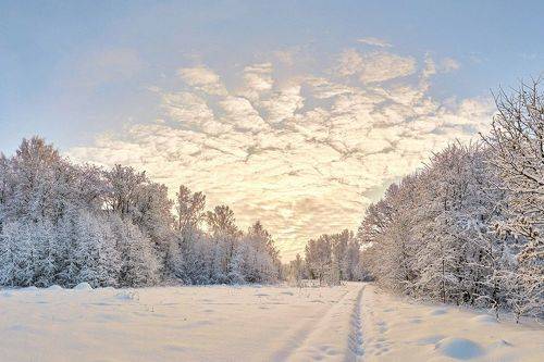 Солнечная дорога