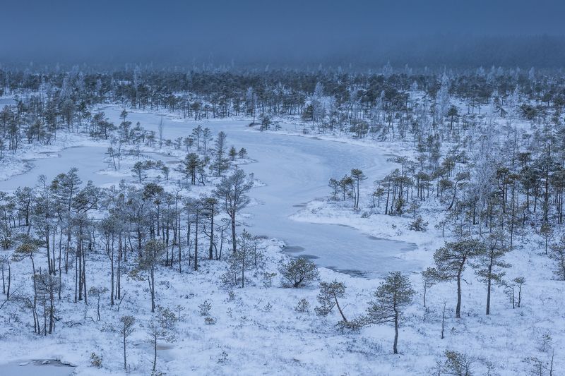 Вечер на болоте фото превью