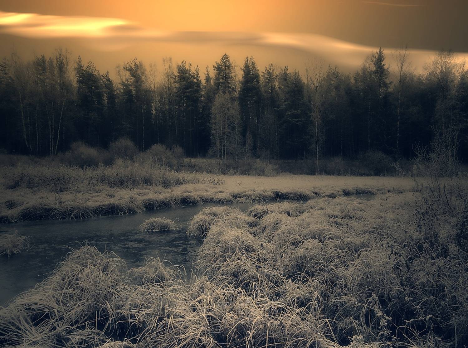 пейзаж, природа, осень, лес, ручей, лед, небо, облака, DX