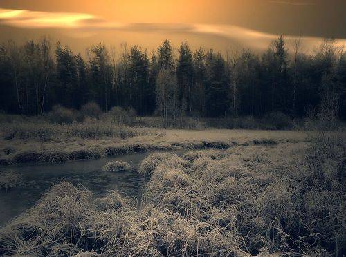 Осенние зарисовки II