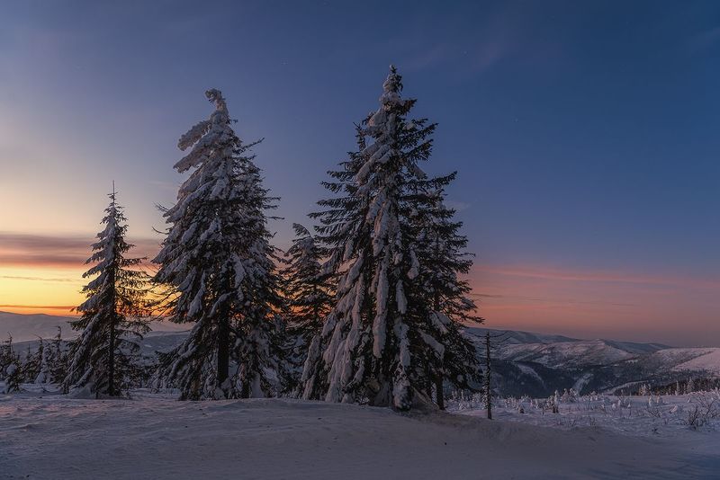 O świcie фото превью