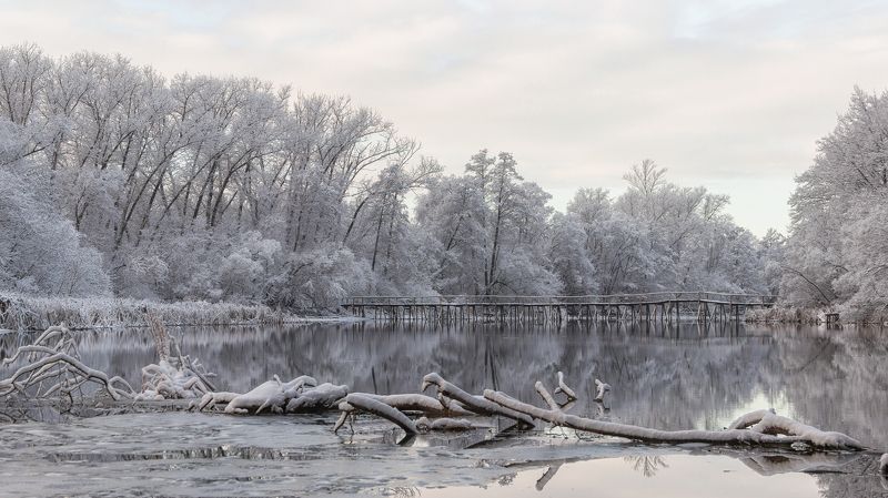 Снежное утро января фото превью