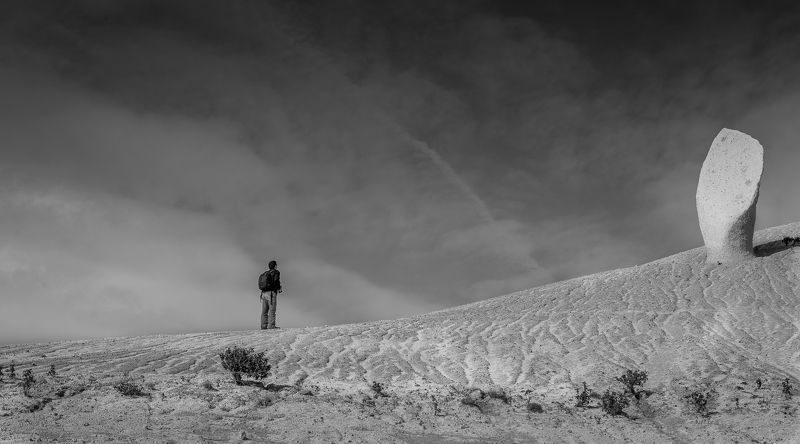 Frig фото превью