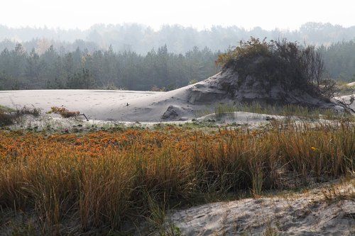 Балтийская коса осенью