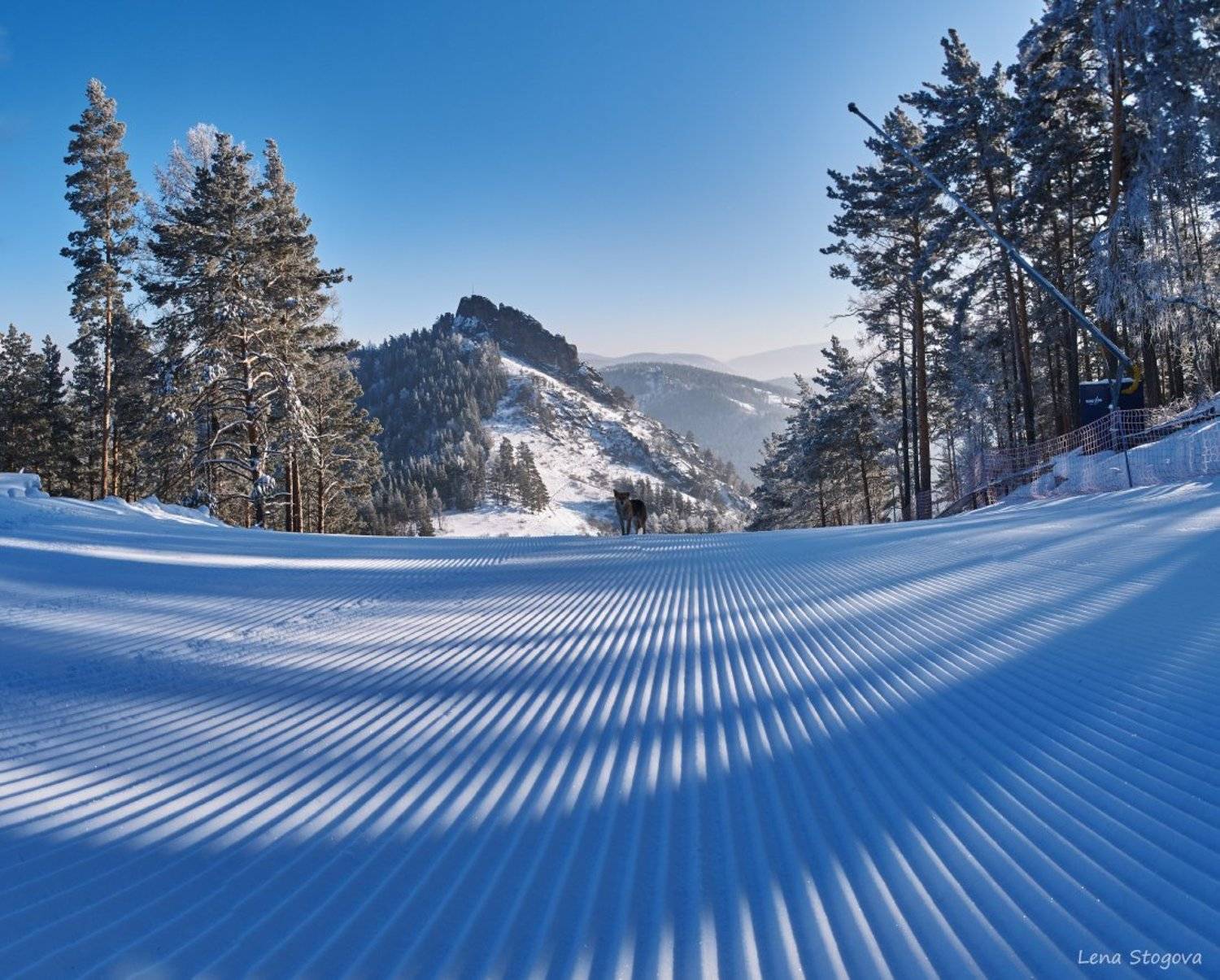 Горнолыжный комплекс, Зима, Красноярск, Лена Стогова