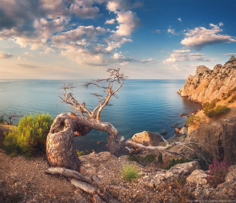 пейзаж, горы, дерево,  скалы, рассвет, небо, облака, море, свет, солнце, крым, новый свет, путешествие Рассвет на Караул-Оба (Новый Свет, Крым) фото превью