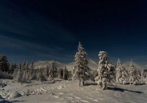 Лунная ночь в горах
