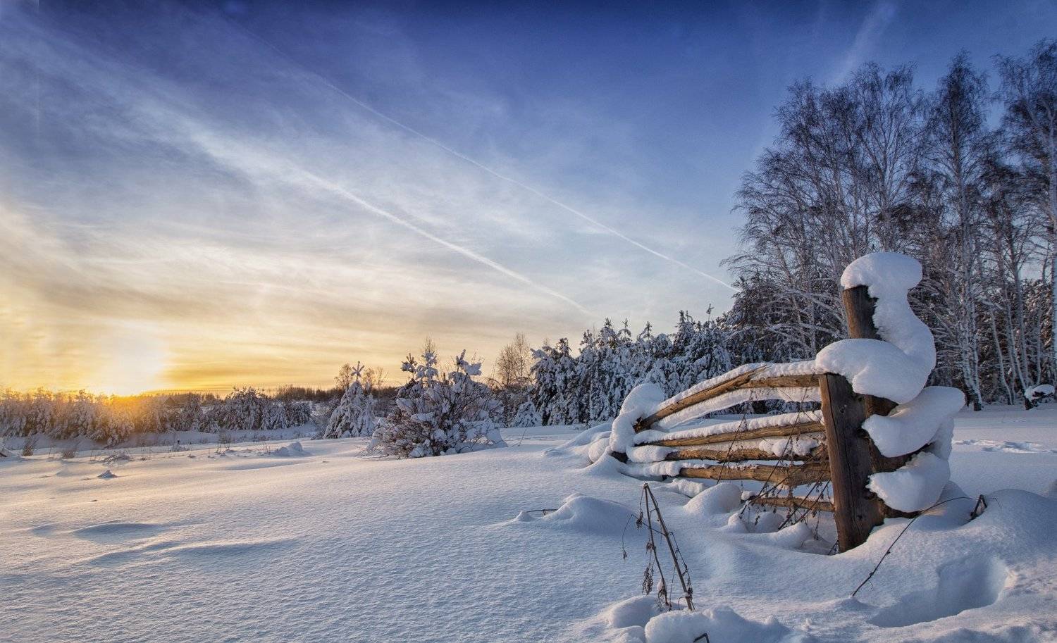 , Скиндерева Ольга