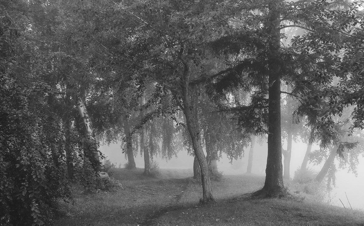 , Николай Морский