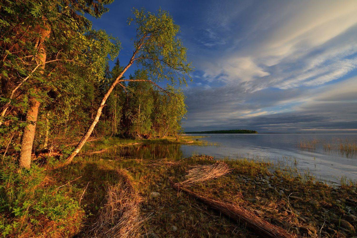 , Максим Евдокимов ( www.wildphotorus.ru )