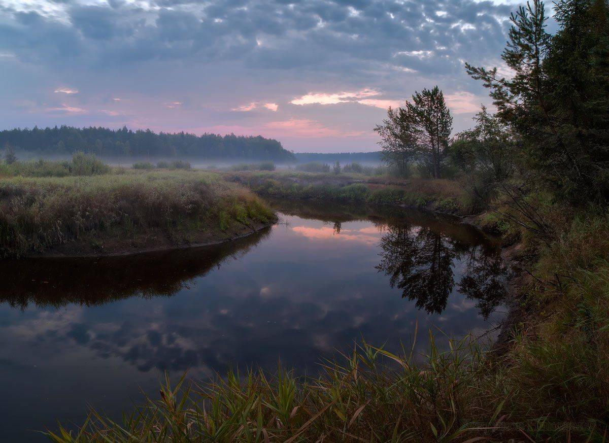 , Хохряков Николай