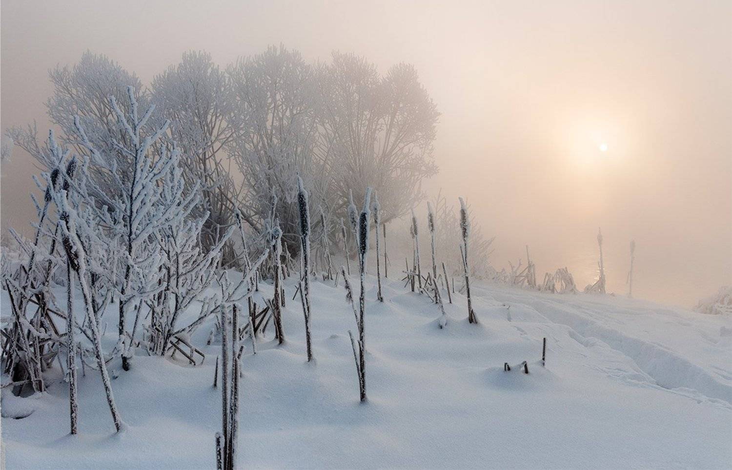 , Анатолий Зверев