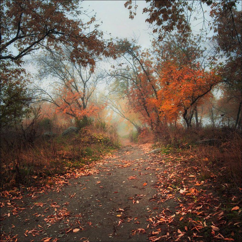 По осенним тропам фото превью