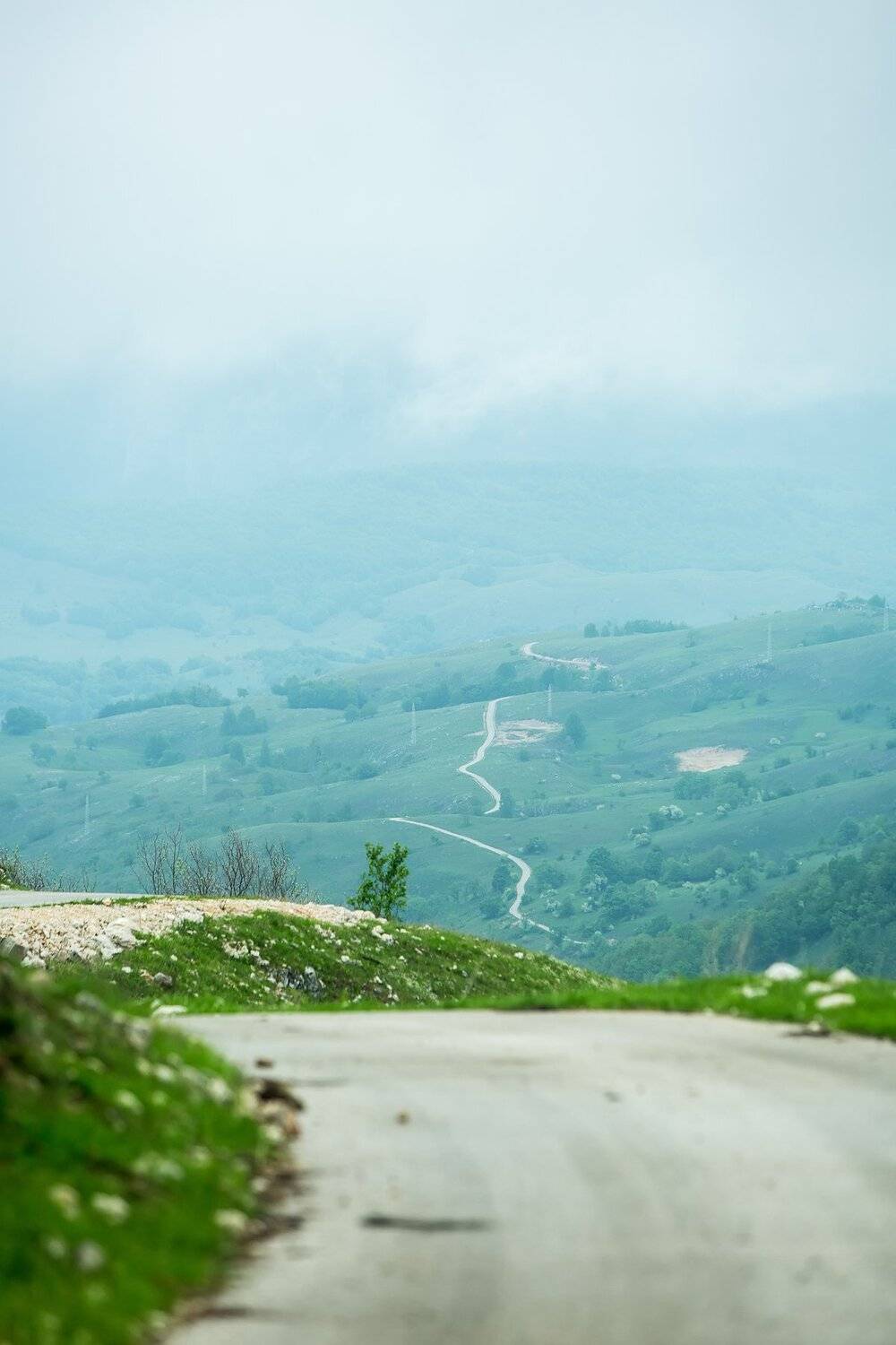 , Даша Горбунова