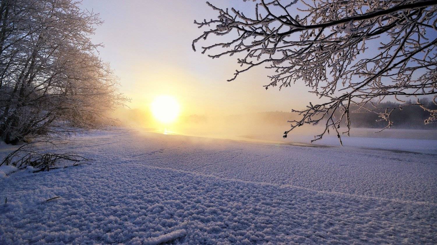 , Андрей Куликов