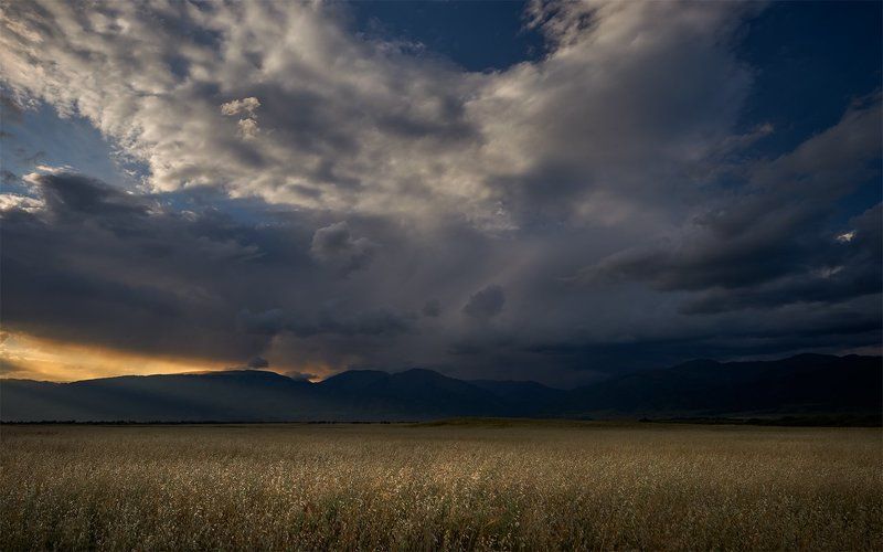 алтай, уймонская степь, теректинский хребет, дождевые облака, вечер Уймонская долина фото превью
