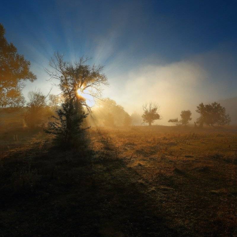 , Петриченко Валерий
