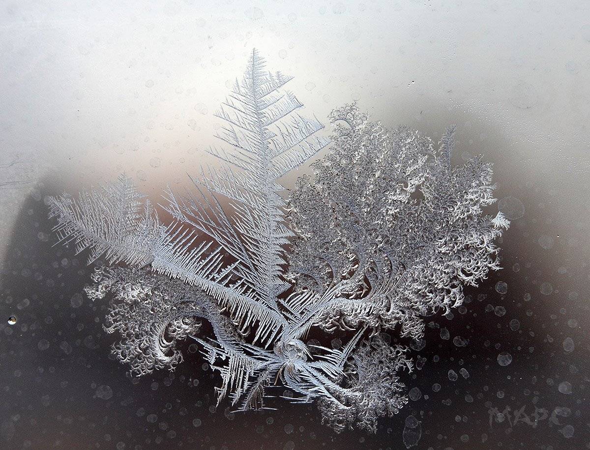 , Шангареев Марс