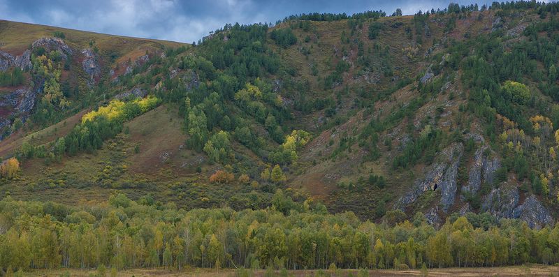 тигирек, алтай  фото превью