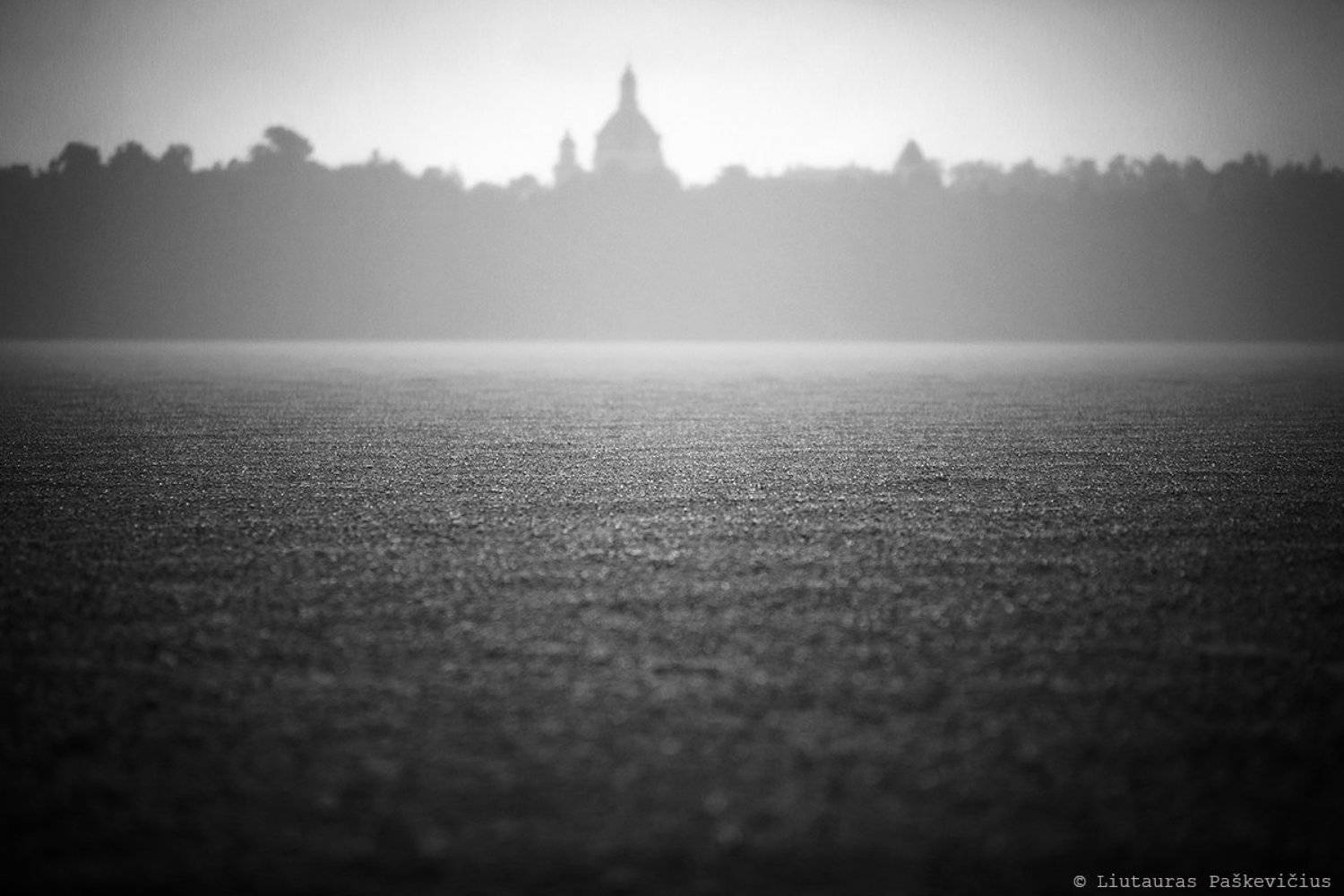 , Liutauras Paskevicius