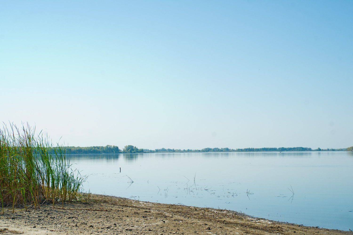 , Ирина Засолова