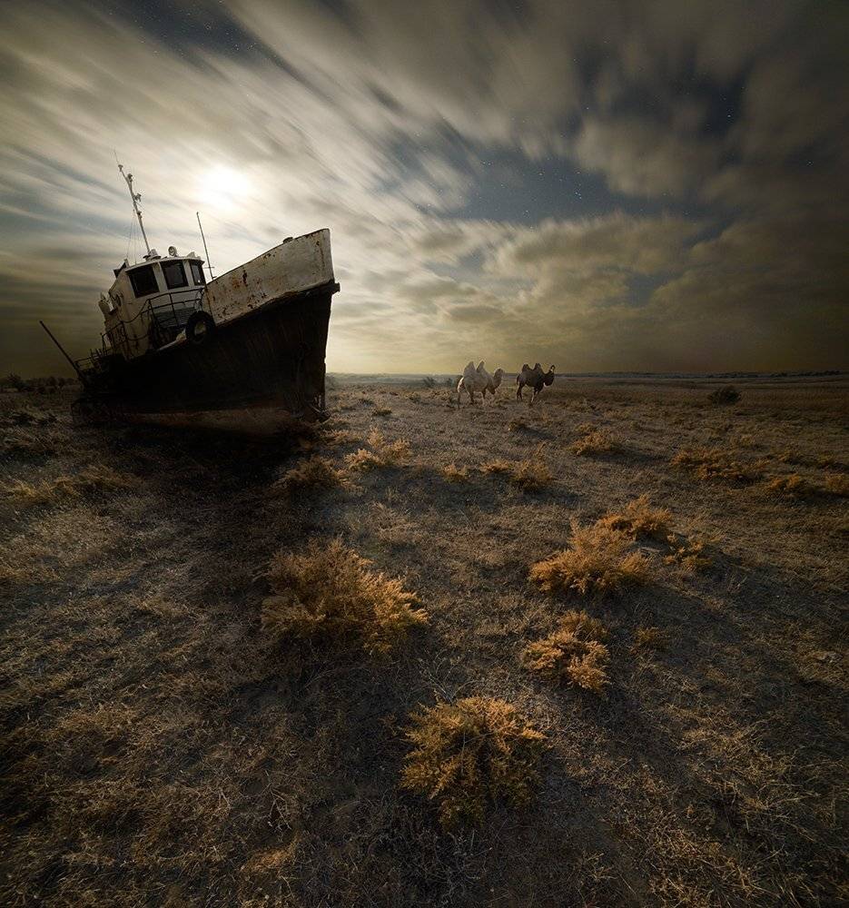 , Дeнис Бoдрoв