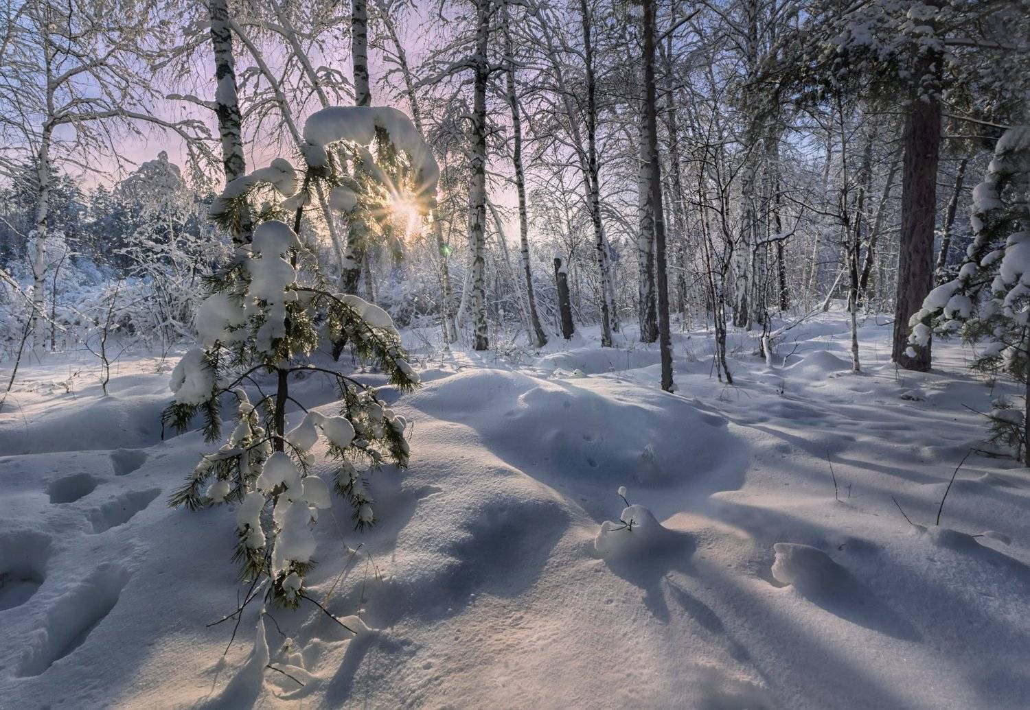 , Скиндерева Ольга