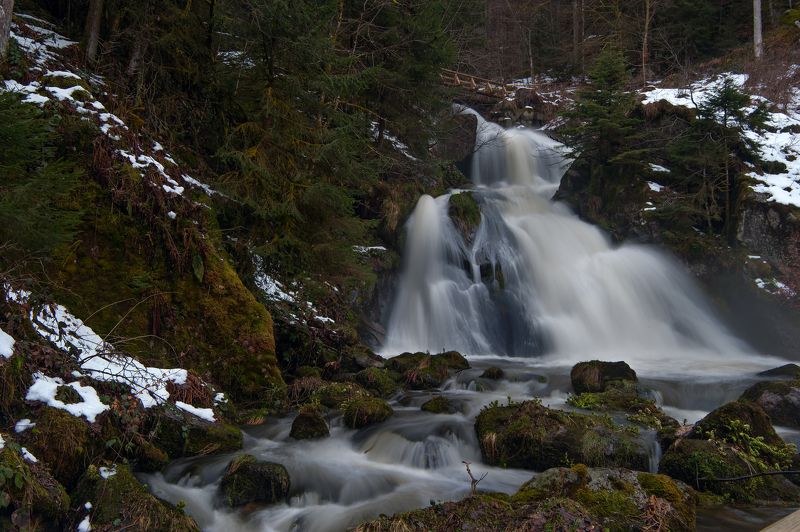 портфолио фото превью