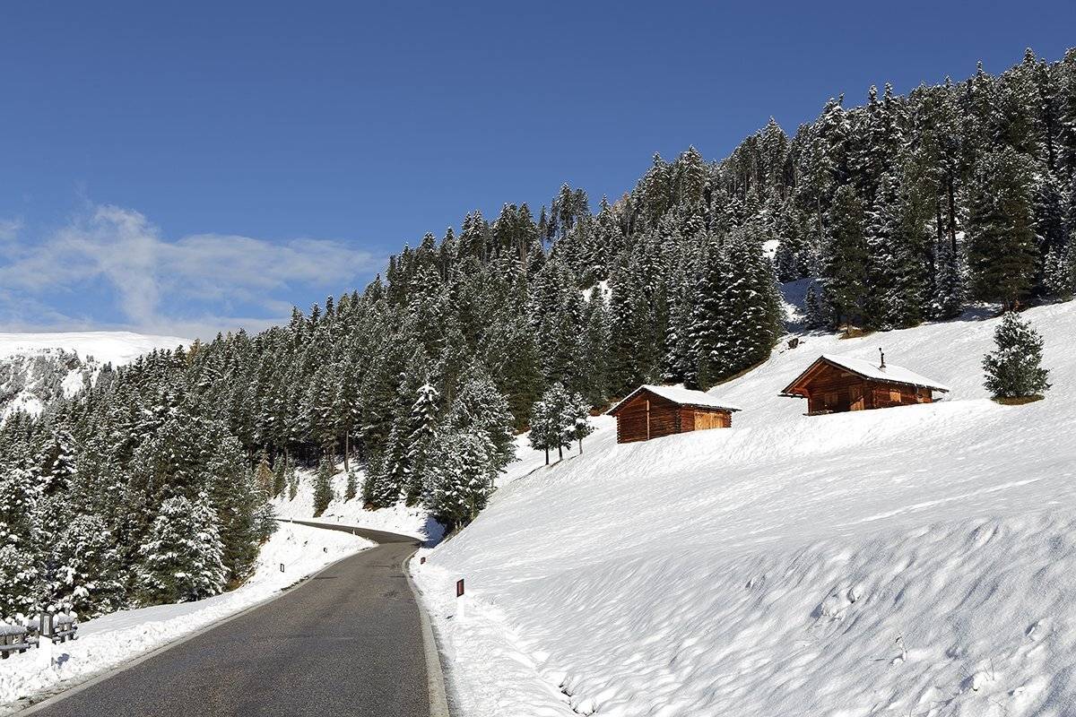 , Игорь Дубровский