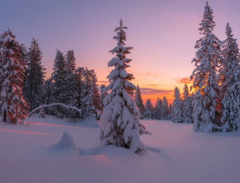 В объятиях зимы фото превью