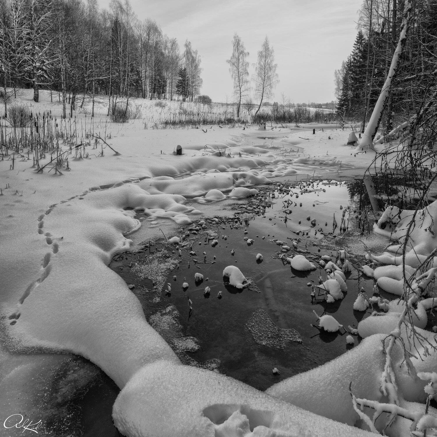, Александр Кудинов
