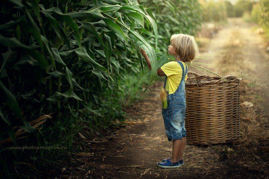 , Ирина Амосова