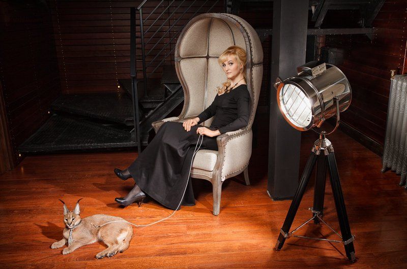 ::: Дама с кошкой :::  фото превью