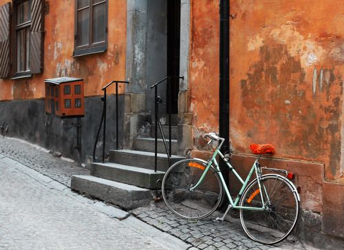 Цитрусовая улица