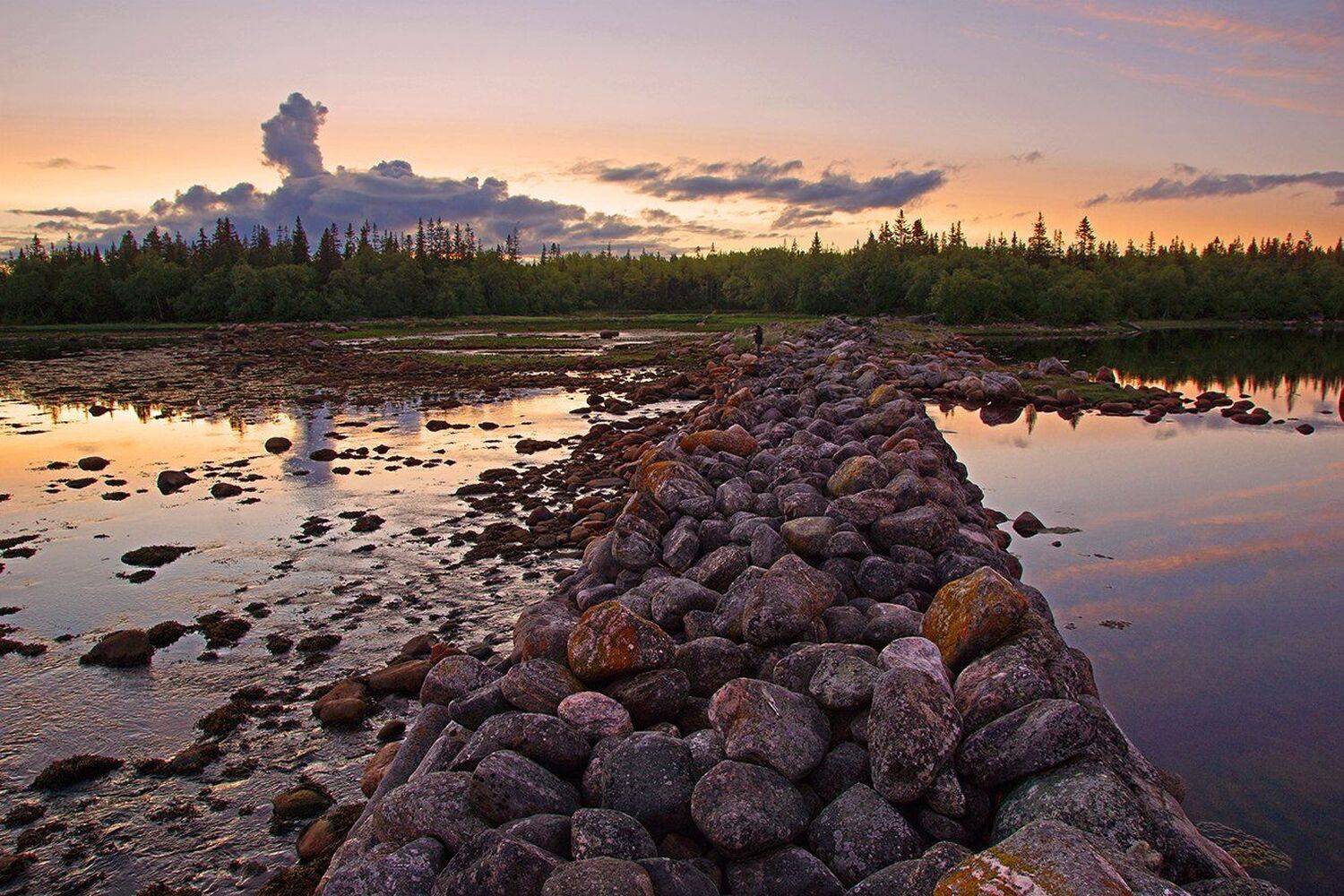 , Петр Косых