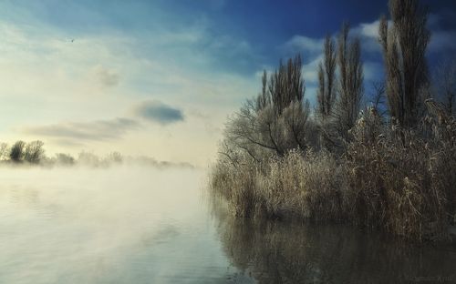 Композиция из утра, тумана и мороза...