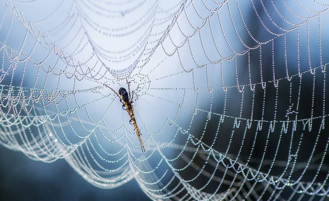 , Анатольевич