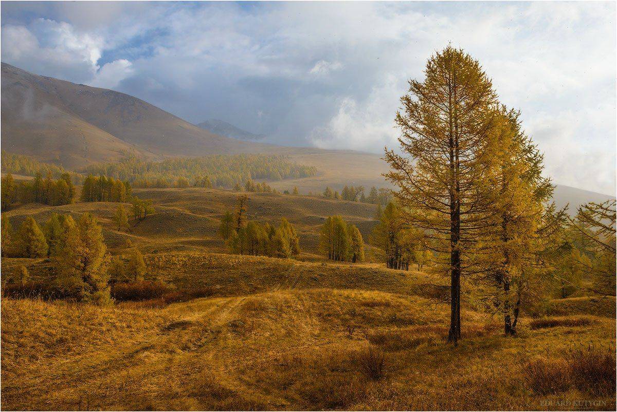 , Кутыгин Эдуард