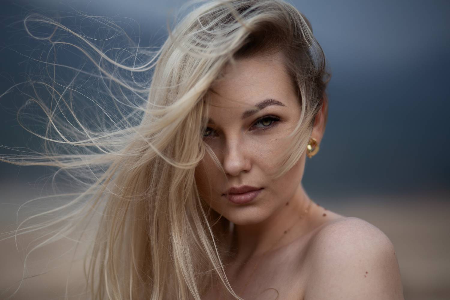 , Андрей Любицкий